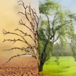 img-climate-security