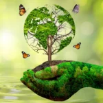 img-environmental-protection